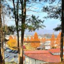 충식농장 이미지