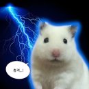 WOW PC방 | 침대가 서운해한 26년 1월 일상.zip