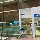 버스정류소_가양역.현대아파트 | 가양역 공항버스 시간표, 요금 6008 탑승후기