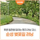 성북2리 마을회관 | 푸른 신록의 풍경을 보며 달리는 평지 코스, 당진천 순성 벚꽃길 러닝