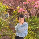 완산체육공원 화장실 이미지