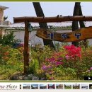 해맞이민박 이미지