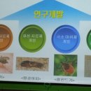 한국곤충연구소 이미지