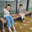 채선당 한가득 롯데마트 진해점 | 진해 롯데마트 장난감쇼핑 & 채선당 한가득 후기