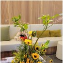 모세마취통증의학과의원 이미지