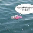 차앤클린 이미지