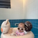 란트루헤 이미지