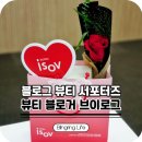 비키스킨(VIKI SKIN) | K뷰티 블로그 서포터즈 아이소브 발대식 브이로그