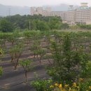 태영농장 이미지