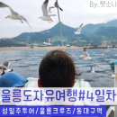 [울릉도 자유여행 5/31~6/3] 마지막날 일기# 울릉 섬일주 투어-울릉크루즈-SRT-동대구역