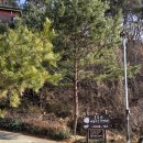 호수가 풍경소리 이미지