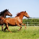 부천역사(주) 이미지
