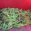 옛고을농장 이미지