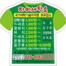 정신자석