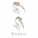 [레딧괴담/레딧번역] 아내와 작년에 산중 목장을 샀는데, 이웃이 독특한 운영법을 알려줬다 #6 (完) 이미지