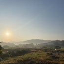 하이디의 뜰