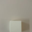 르세이 | [LSEY] 르세이 Seull ring 착샷 후기