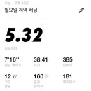 대교꼼장어