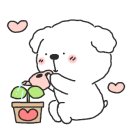 채송화꽃집 네이버블로그