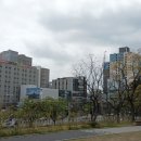 대연3동행정복지센터 이미지