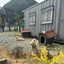 [가평여행]가평/춘천 2일차_피플스클럽/봄스테이/하이바/솥뚜껑감자탕 후기 *내돈내산
