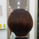 보보헤어 네이버블로그
