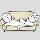 스테이공오 이미지