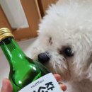 핑크펑크드 이미지