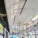 나나티켓월드 | 후쿠오카 가족여행(9)🌸 우미노나카미치 마린월드 가는 법, 돌고래쇼 시간표, 아이랑 방문 후기