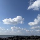 (유)아산렌트카 | 퇴사 기념 제주도 혼자 여행 1일차 (11.5~11.7)