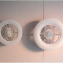 수원-0043 이미지