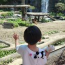 [공지] 아기랑 다녀온 5월 에버랜드 산리오 동선 및 꿀팁 (수유실·놀이기구·발렛팁까지!)