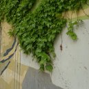 마곡하늬근린공원 이미지