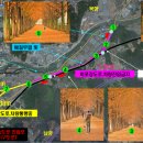 금성면사무소 화장실 이미지