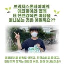 에코피아그린