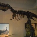 엑스포펜션민박 이미지