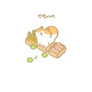 냥이랑 이미지