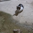 두꺼비농장 이미지