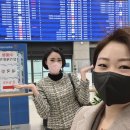 인셀덤대전대리점