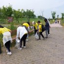 책마루도서관 이미지