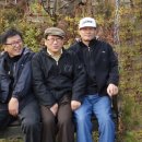 금당아트 밸리 이미지