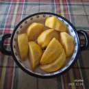 건강생활 | 해피손과 함께하는 슬기로운 건강생활 참여 후기