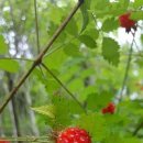 세탁세상 이미지