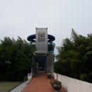 솔마루 작은도서관 티스토리