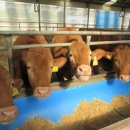 평사농장 이미지