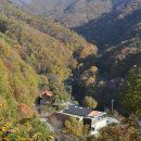 민주지산자연휴양림 이미지
