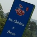 수치킨