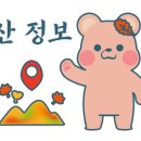 지리산 단풍비 이미지