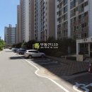 용호2로 Daum카페