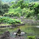 절물자연휴양림 이미지